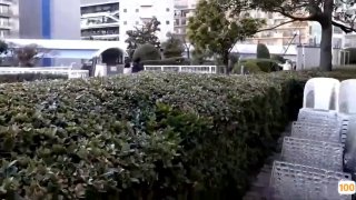 少妇中文字幕乱码 - 蓝光免费播放